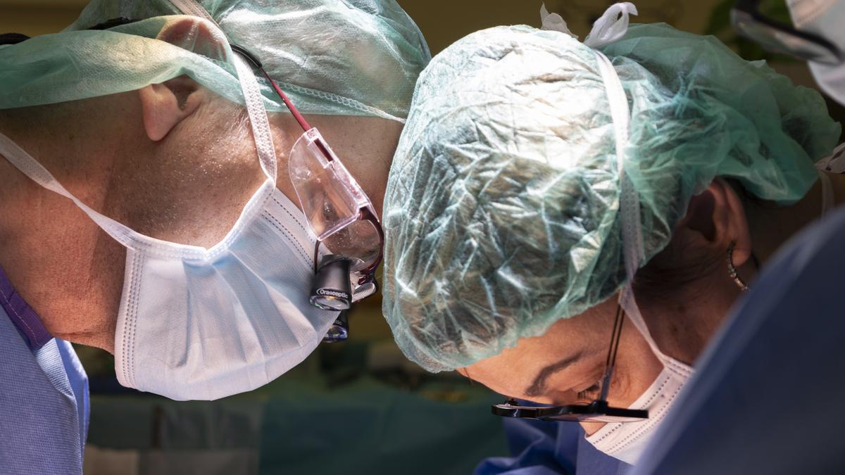 10.338 casos nuevos en 2025