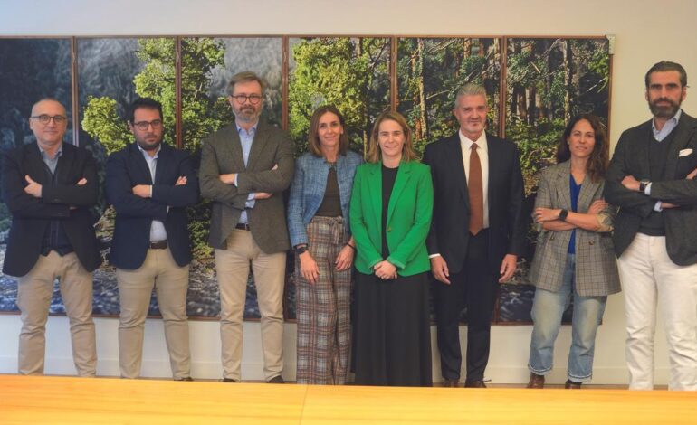 hay que pasar «del decir al hacer»