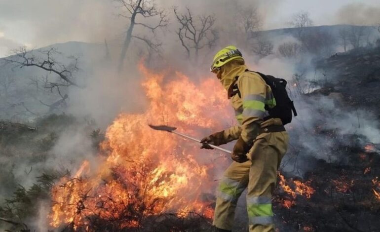 INCENDIOS INTENCIONADOS | Casi 330 incendios forestales de España en 2025, incluyendo el más grande, fueron intencionados