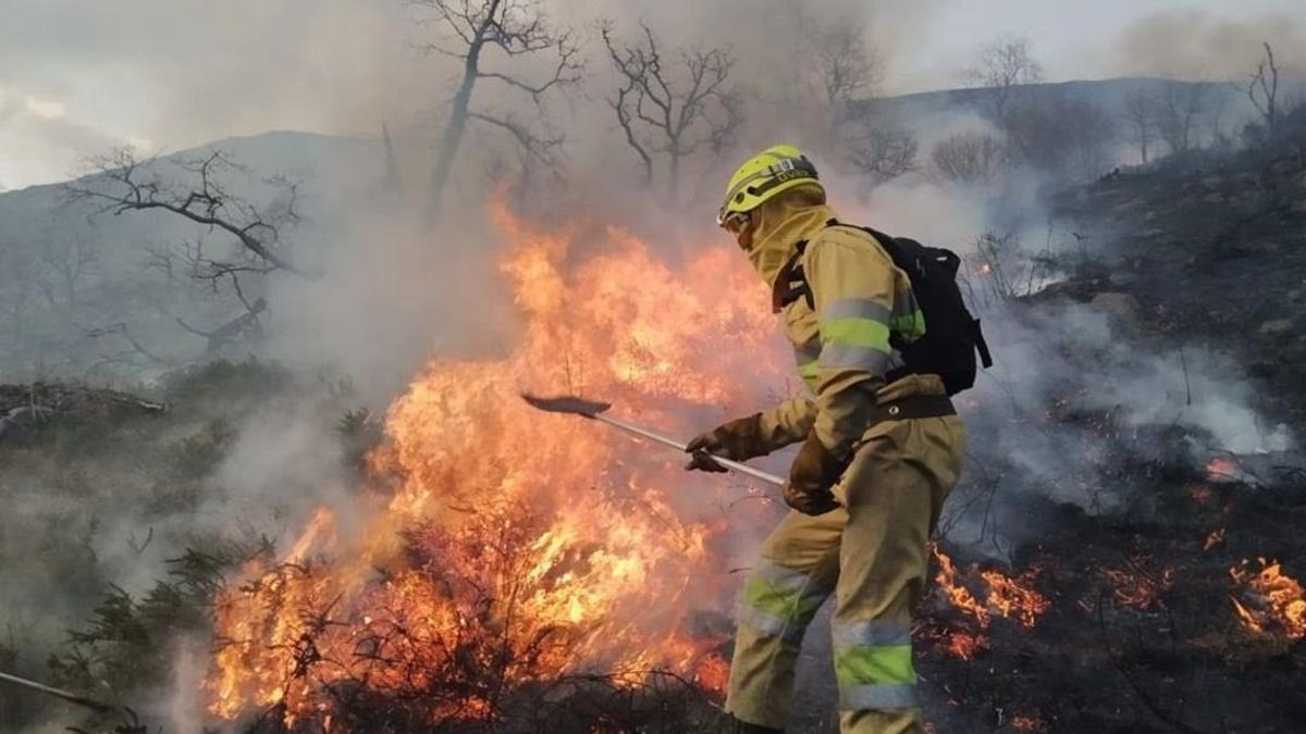 INCENDIOS INTENCIONADOS | Casi 330 incendios forestales de España en 2025, incluyendo el más grande, fueron intencionados