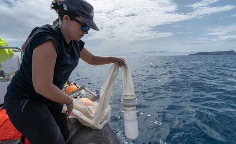 La investigadora asturiana que monitoriza desde Madeira la basura marina y los riesgos invisibles del plástico en el mar: “Falta conciencia”