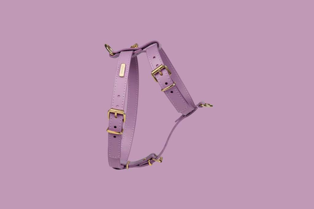 perfume-limpio-viernes-negro