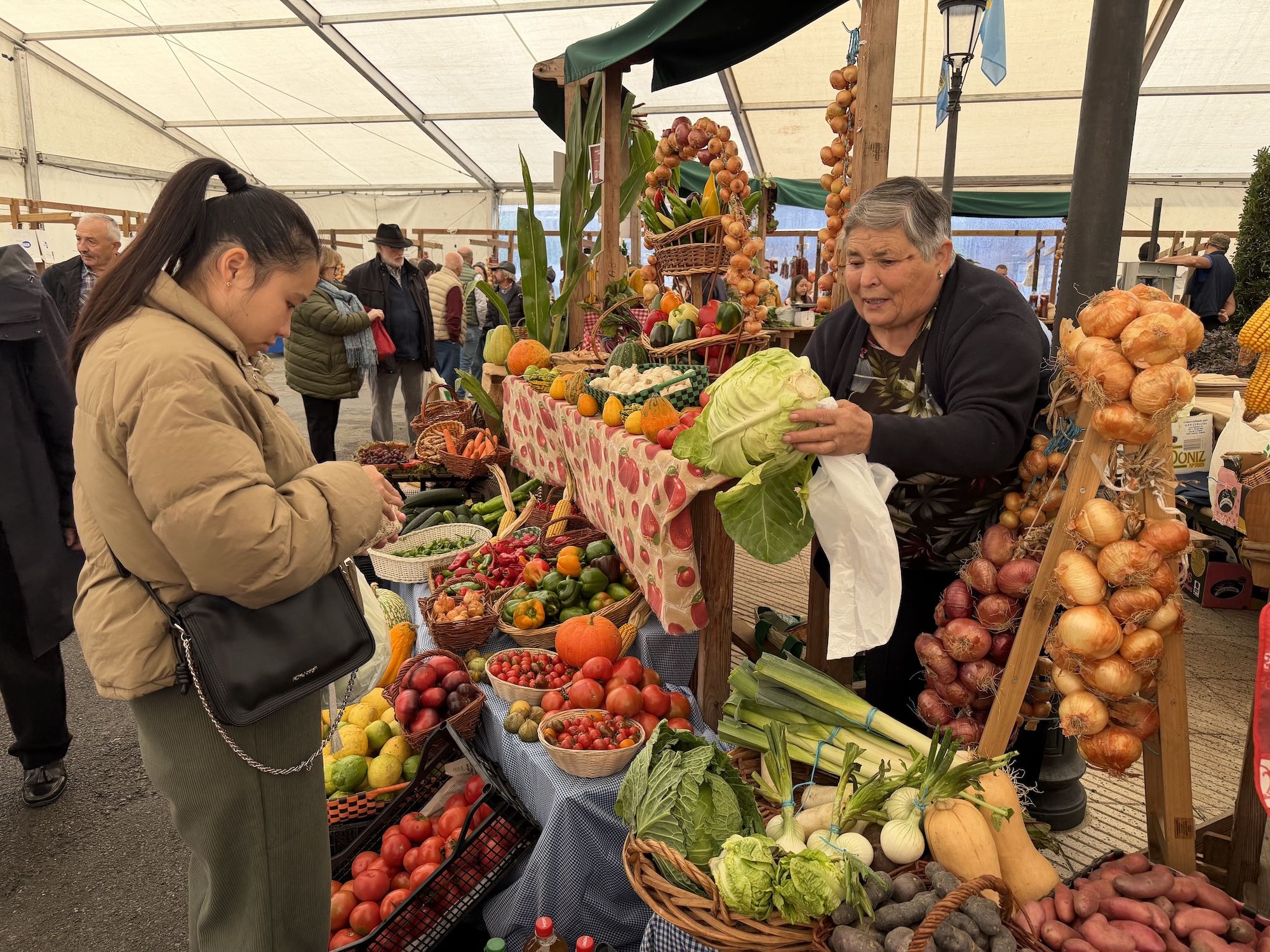 Concurso de castañas y productos de la huerta en Arriondas