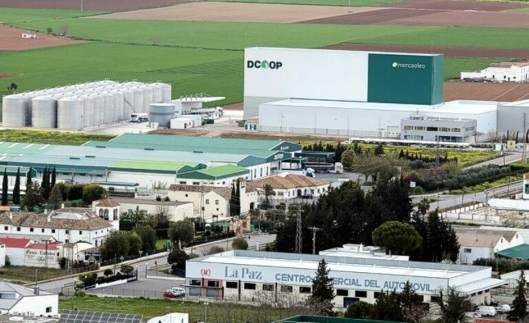 Dcoop negocia para hacerse con la totalidad de su filial en EEUU y dominar el 20% de su mercado de virgen extra