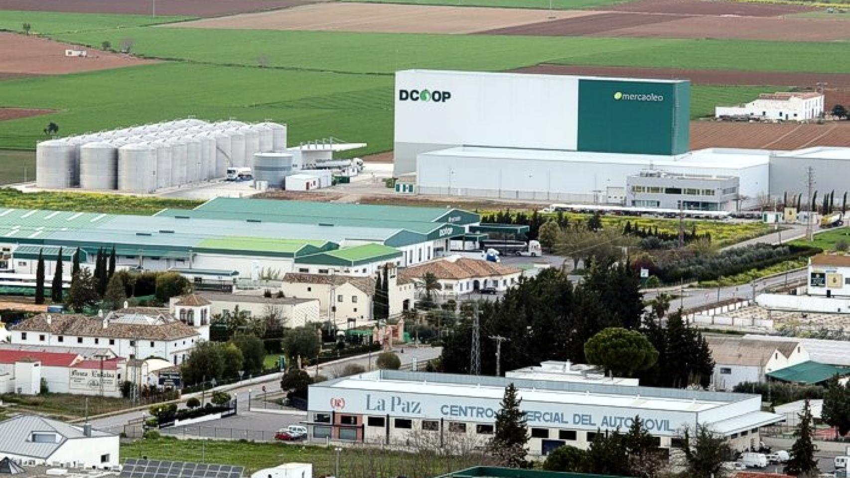 Dcoop negocia para hacerse con la totalidad de su filial en EEUU y dominar el 20% de su mercado de virgen extra