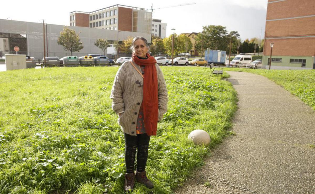 Ceares aplaude su futura área verde