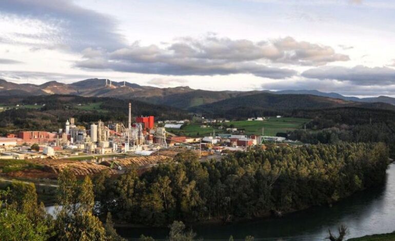 Ence pierde 22 millones pola cayida del preciu de la celulosa