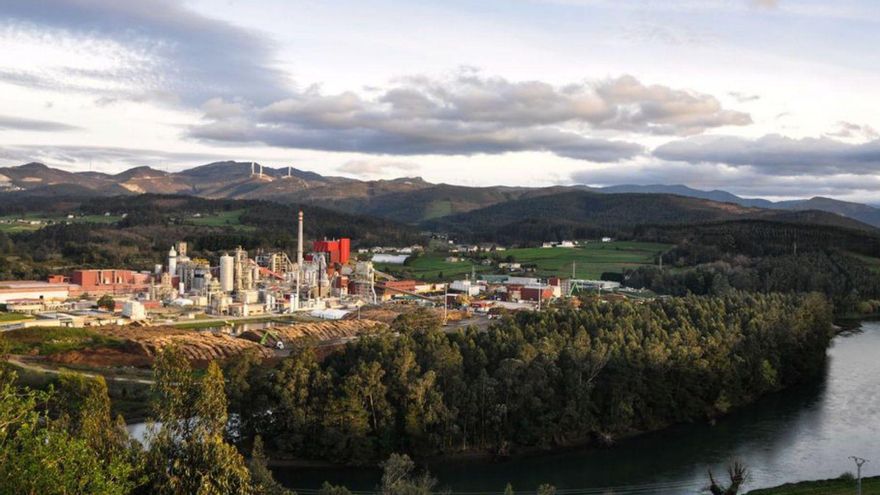 Ence pierde 22 millones pola cayida del preciu de la celulosa