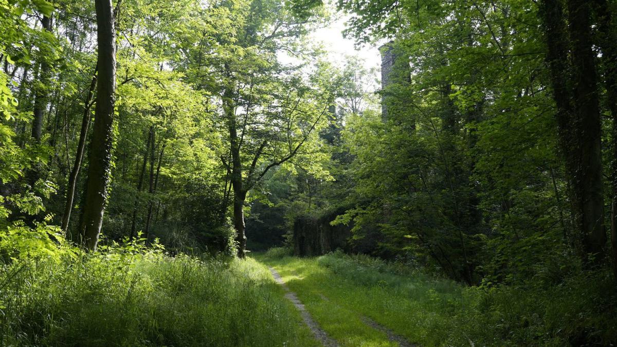 estas son las propuestas de IU para mejorar la movilidad de Oviedo en 2026