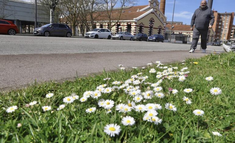 Escribano crece y ficha talento para su centro de I+D en Avilés