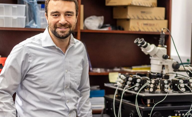 Crean un chip biomorfico que es casi biológico