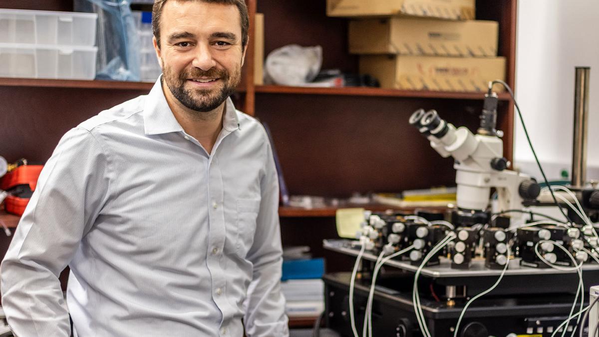 Crean un chip biomorfico que es casi biológico