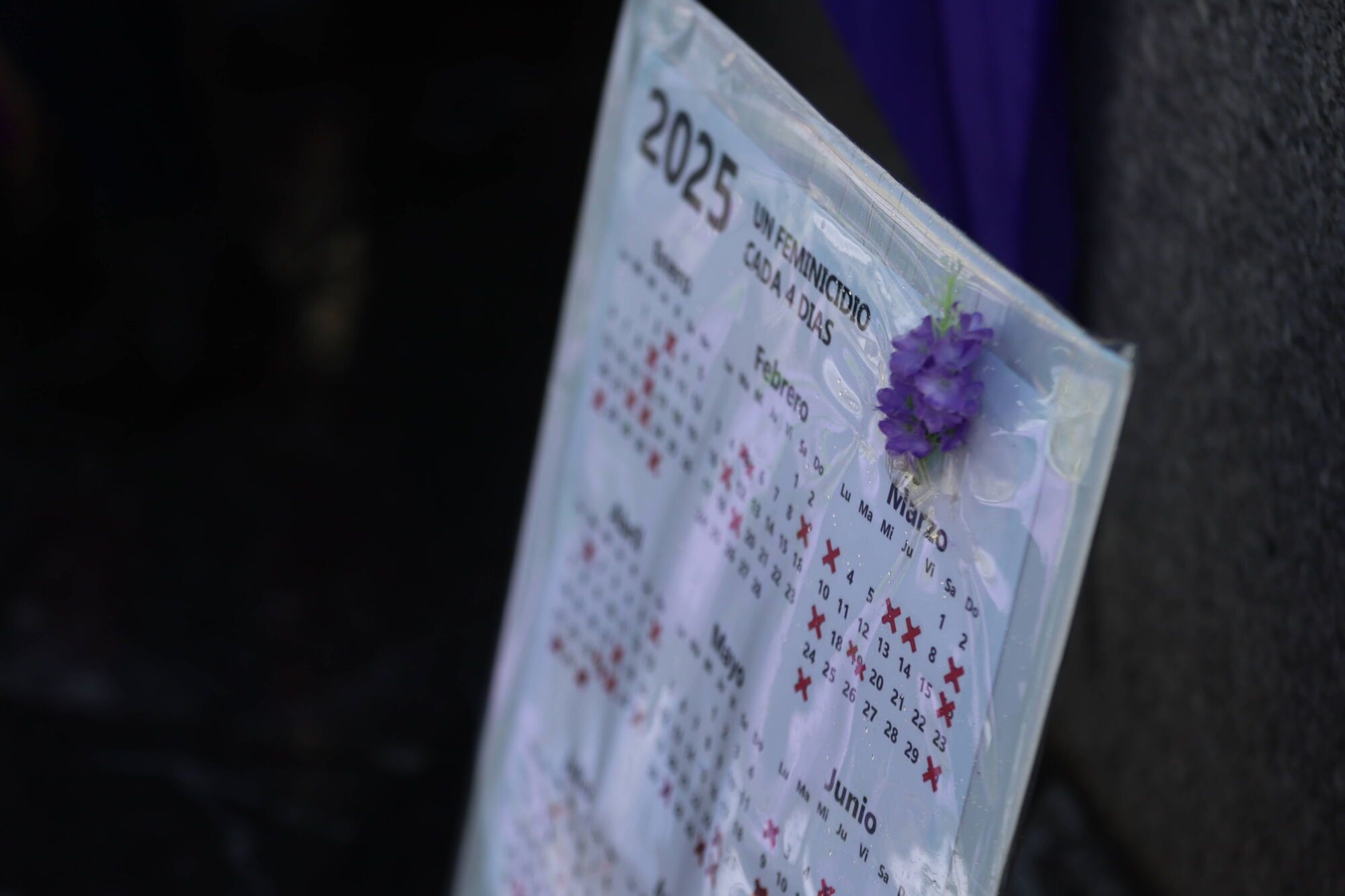 Oviedo alza la voz por todos lados "mujeres que no pudieron hacerlo y por aquellas que sobrevivieron" a su atacante