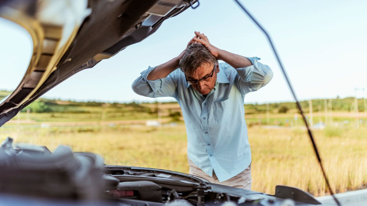 te va a sorprender su coste