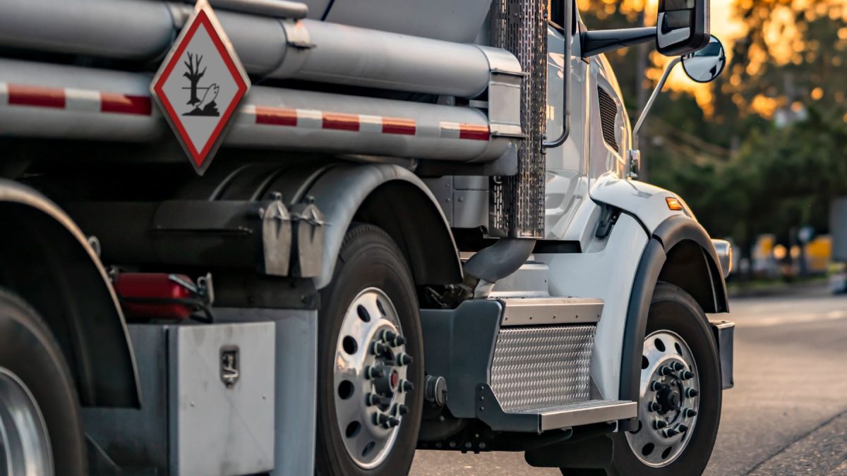 este es el secreto del símbolo del árbol y el pez