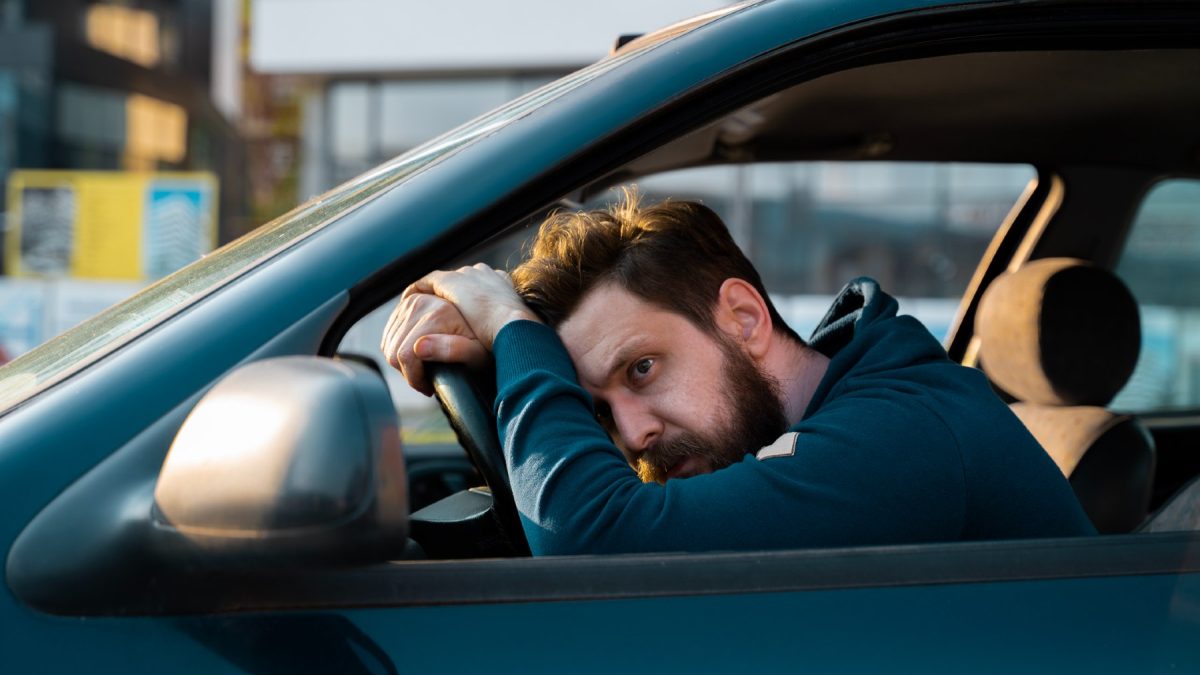 Los conductores se pueden dividir en cinco tipos: ¿cuál es el tuyo?