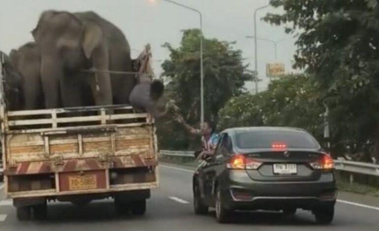 el gesto se ha hecho viral en segundos