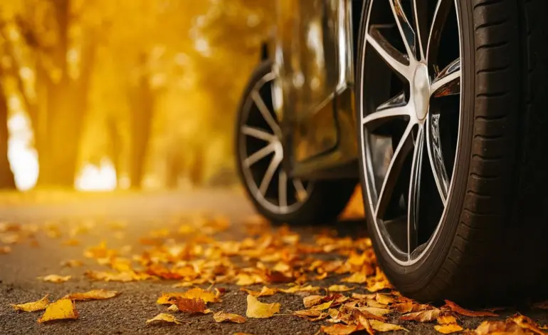 En cuanto llega el otoño, yo equiparía mi coche con estas ruedas