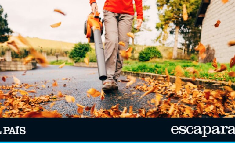 Arrasa en Amazon el soplador de hojas con 15% descuento para dejar tu jardín despejado sin esfuerzo | Ofertas y descuentos | Escaparate