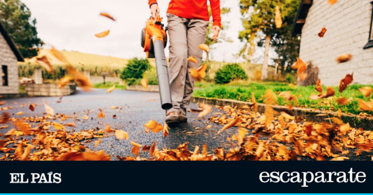 Arrasa en Amazon el soplador de hojas con 15% descuento para dejar tu jardín despejado sin esfuerzo | Ofertas y descuentos | Escaparate