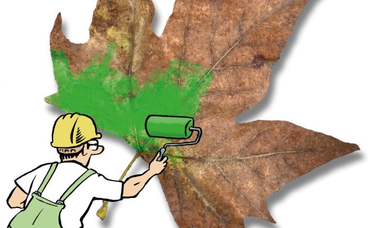 El ‘boom’ de la medicina de la longevidad llega a España