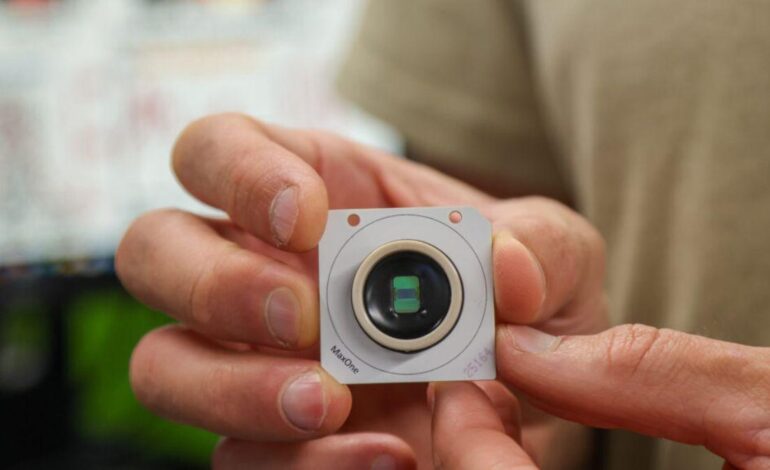 Nuestros cerebros vienen preconfigurados para comprender el mundo desde antes de experimentarlo