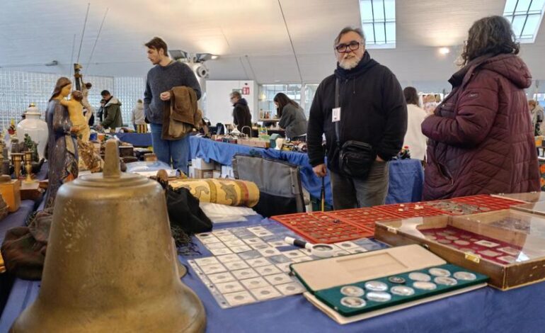En imágenes, las curiosidades de la Feria de Antigüedades de Pola de Siero
