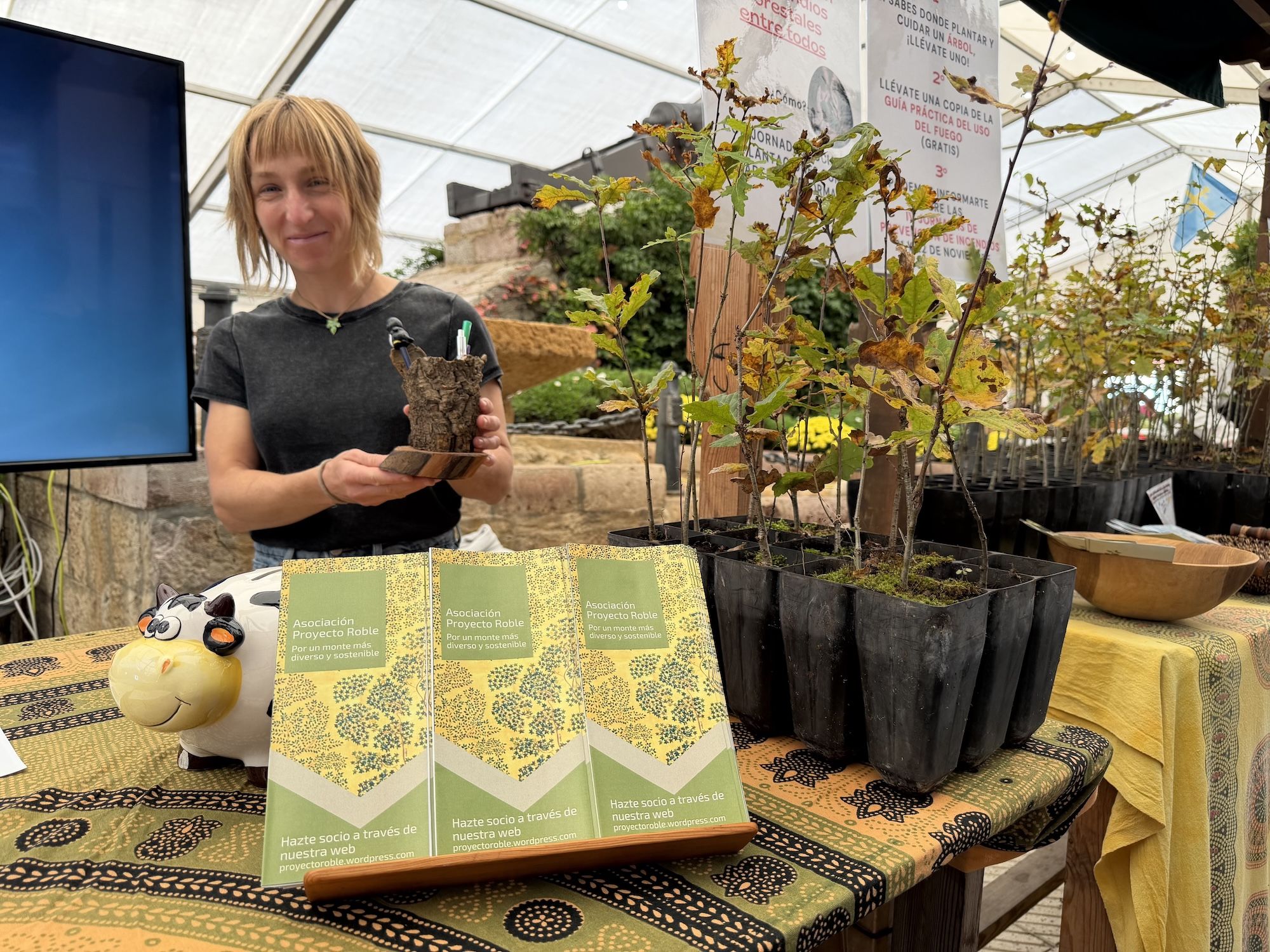 Concurso de castañas y productos de la huerta en Arriondas