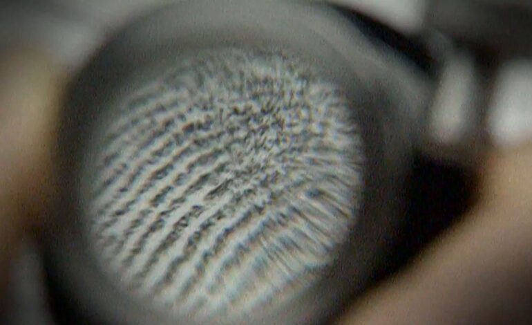 así permite el ADN poner rostro a crímenes sin resolver