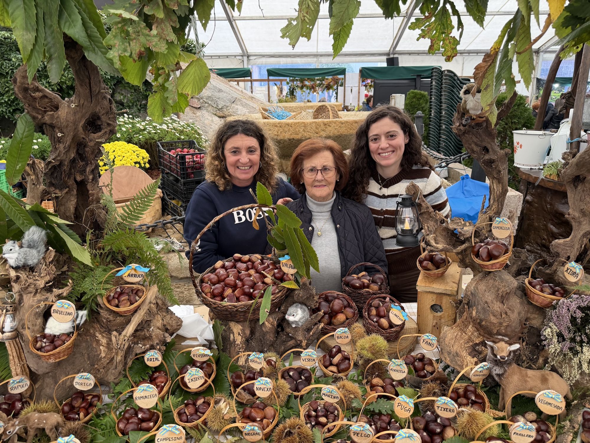Concurso de castañas y productos de la huerta en Arriondas