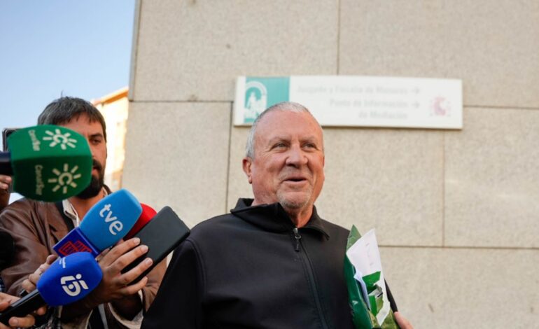 Dimite el alcalde de Fines (Almería) tras su detención en el caso mascarillas