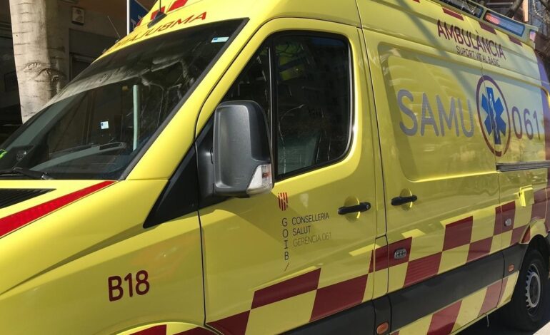 Muere un joven de 22 años tras caerle una palmera mientras conducía en Torrevieja