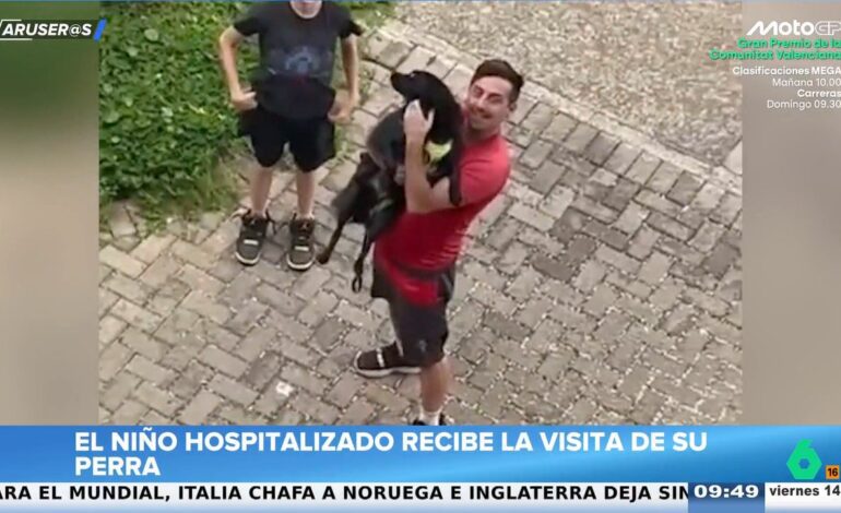 El vídeo viral del niño hospitalizado que recibe la inesperada visita de su perro