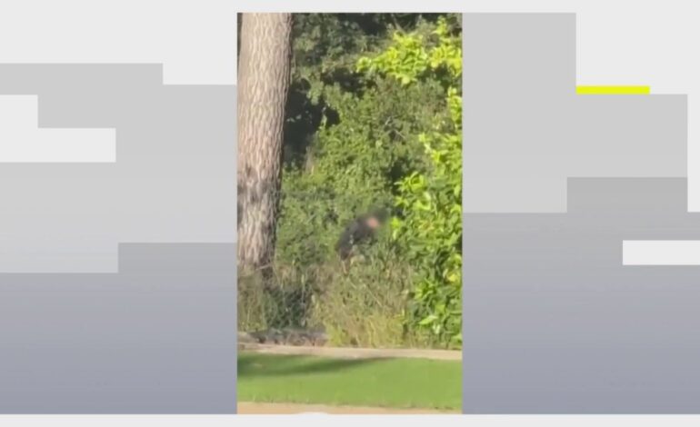 Pillan ‘in fraganti’ a dos hombre intentando robar en una casa en Bellaterra