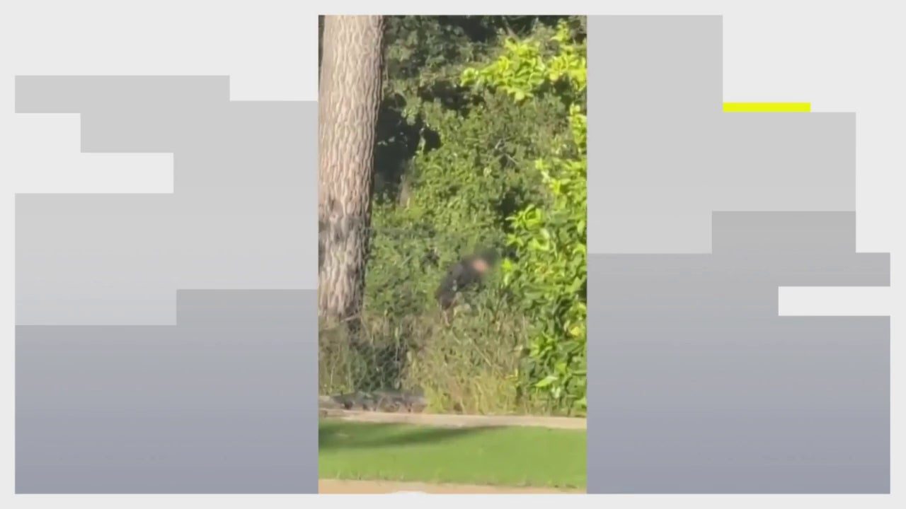 Pillan ‘in fraganti’ a dos hombre intentando robar en una casa en Bellaterra