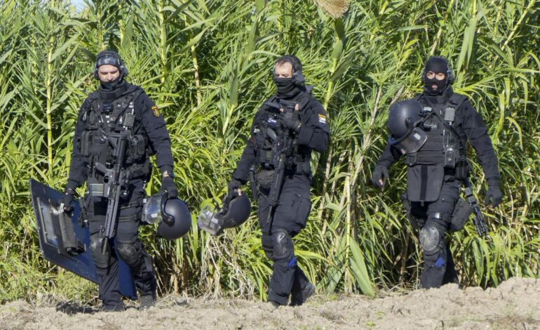 Por ahí van los perros, mátalos, mátalos»