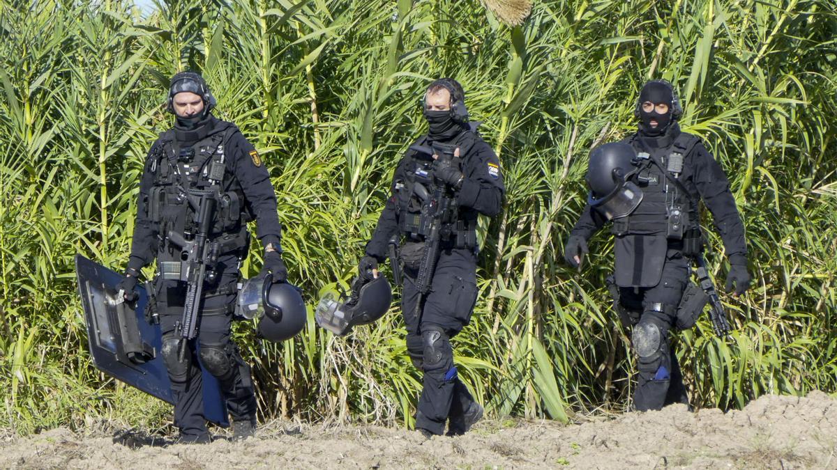 Por ahí van los perros, mátalos, mátalos»