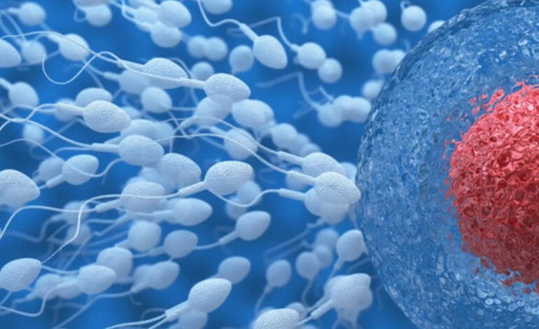 La IA permite el primer embarazo de un paciente sin espermatozoides