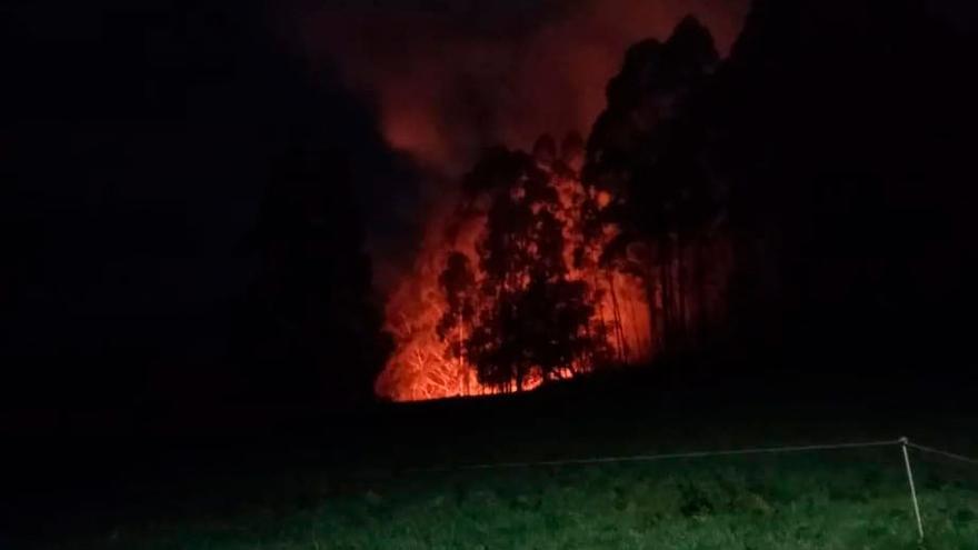 se reactiva el incendio provocado por la caída de un árbol sobre el tendido eléctrico