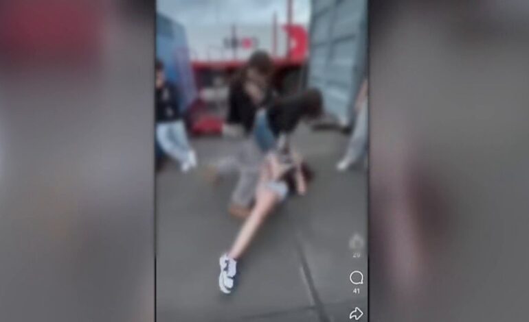 Brutal paliza a una chica adolescente por parte de otras menores en La Palma