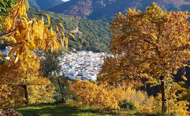 La ruta de Málaga que conecta tres pueblos que enamoran con su herencia andalusí, sus bosques otoñales y sus miradores de cuento