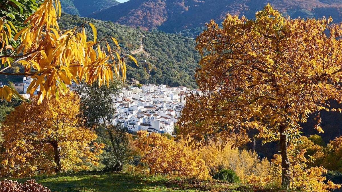 La ruta de Málaga que conecta tres pueblos que enamoran con su herencia andalusí, sus bosques otoñales y sus miradores de cuento