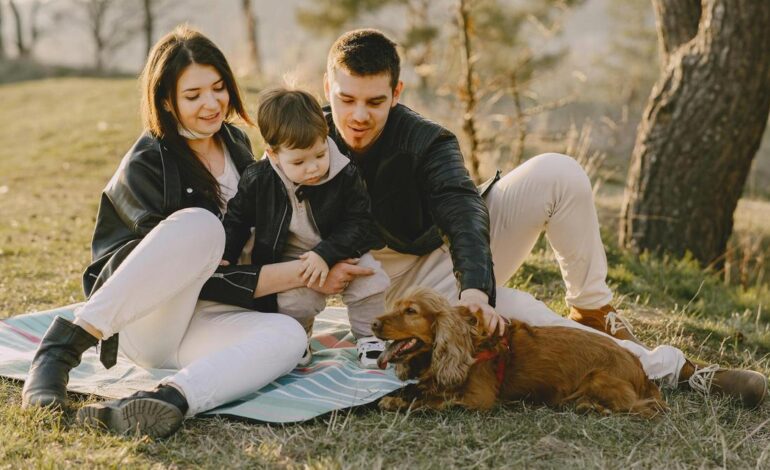 Morgan Housel, analista económico, sobre Elon Musk: «Nació con una configuración mental completamente diferente a…»