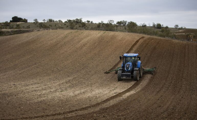 Medio siglo que cambió el campo español