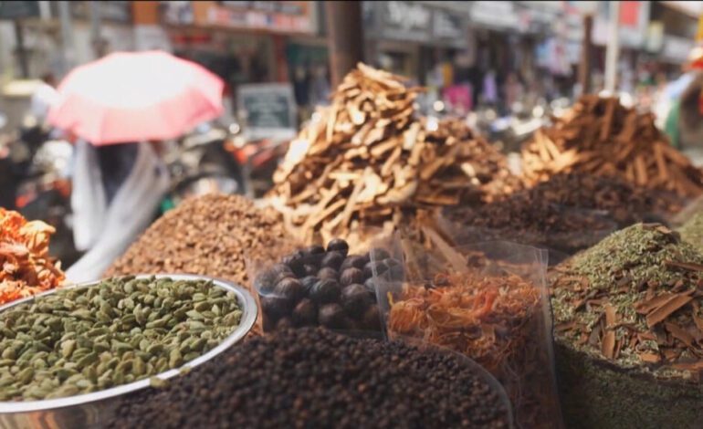 Explorando la ruta de las especias de la India: un viaje de mil sabores por Kerala