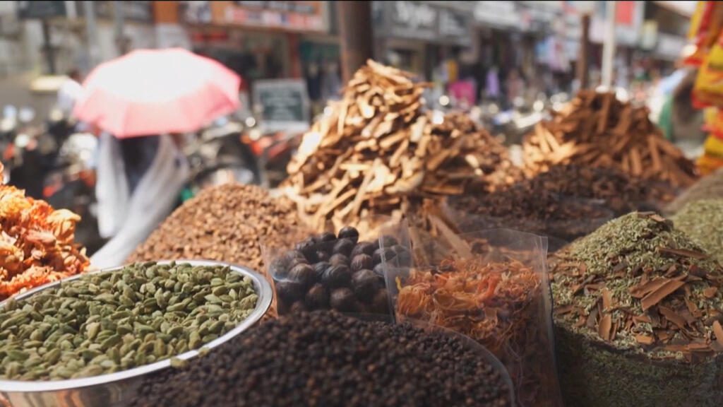 Explorando la ruta de las especias de la India: un viaje de mil sabores por Kerala