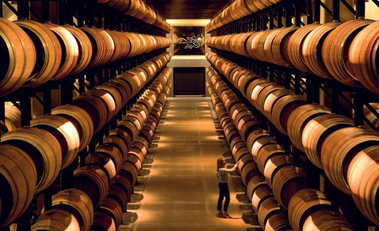 spas de vino, paseos por viñedos, rutas a caballos y hoteles que son el no va más