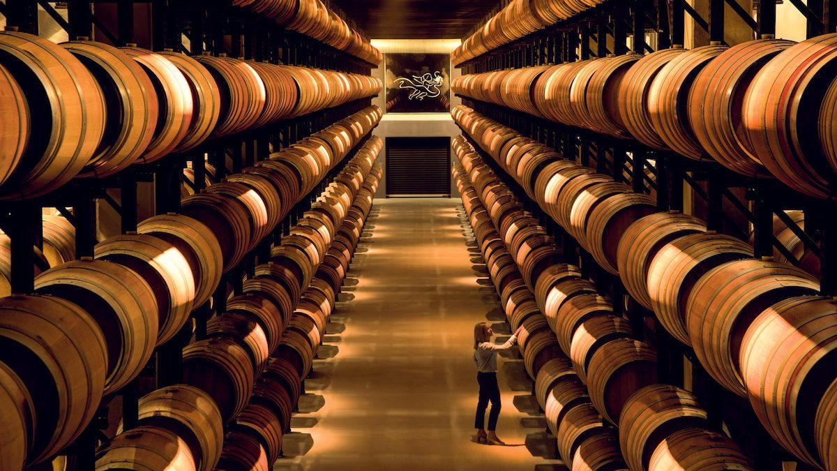 spas de vino, paseos por viñedos, rutas a caballos y hoteles que son el no va más