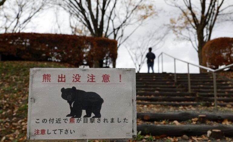 Japón se pone en pie de guerra contra los osos