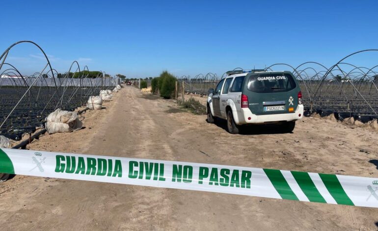 Asesinan a una mujer en Huelva y detienen a su expareja como presunto autor de un crimen machista